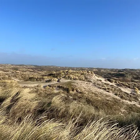 Appartement Aan Zee - 100m