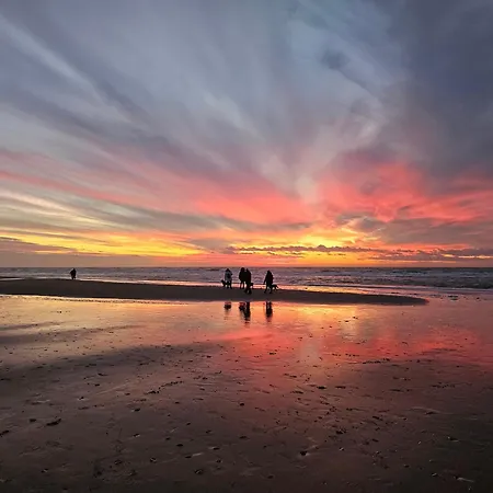 Aan Zee - 100m Appartement *