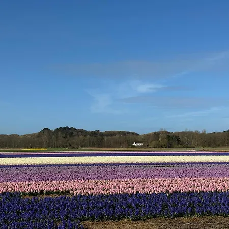 Apartamento Aan Zee - 100m Egmond aan Zee