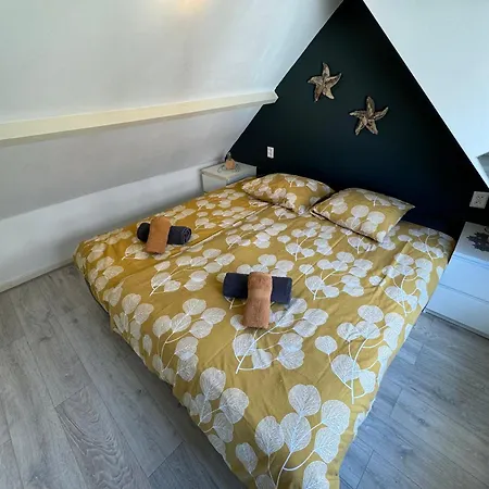 Aan Zee - 100m * Egmond aan Zee