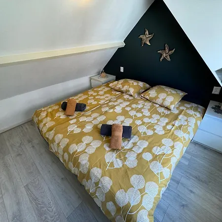 Appartement Aan Zee - 100m *