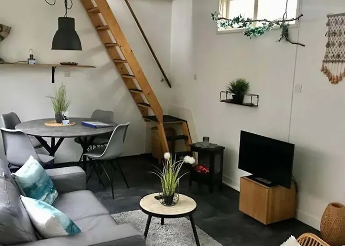 Aan Zee - 100m * Egmond aan Zee