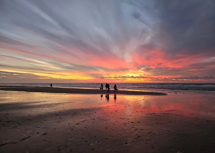 Aan Zee - 100m Appartement *