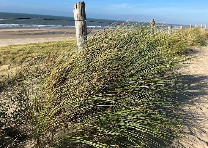 Appartement Aan Zee - 100m Egmond aan Zee