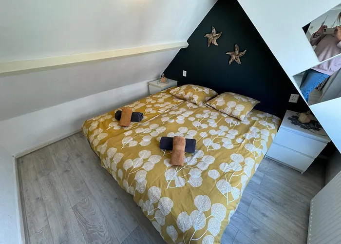 Aan Zee - 100m * Egmond aan Zee