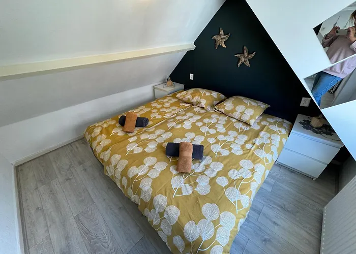 Appartement Aan Zee - 100m *