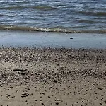 Aan Zee - 100m *