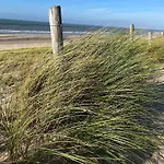 Apartamento Aan Zee - 100m Egmond aan Zee